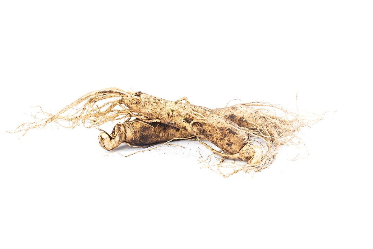 Ginseng isolated on white background